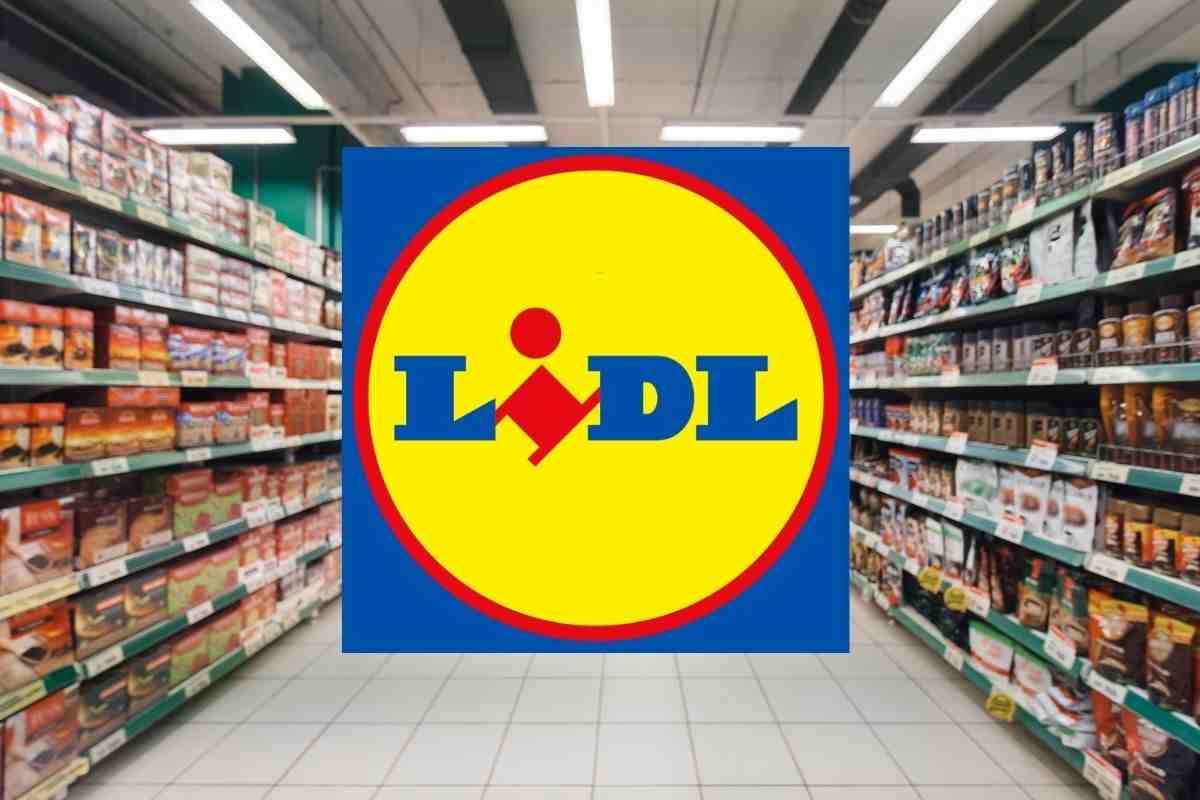 Quanto guadagna una cassiera della Lidl? Tutti i dettagli su uno dei supermercati più amati del momento